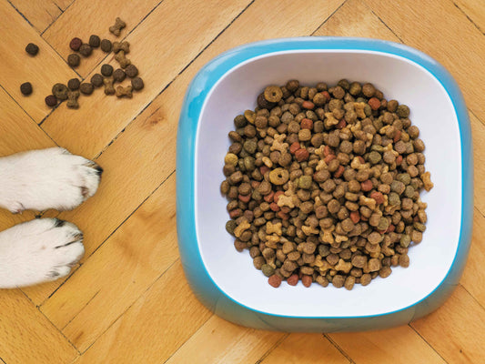 Cómo leer la etiqueta de un alimento medicado para perros y entender qué le estás dando