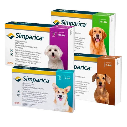 ¿Qué es Simparica y para qué sirve en perros?