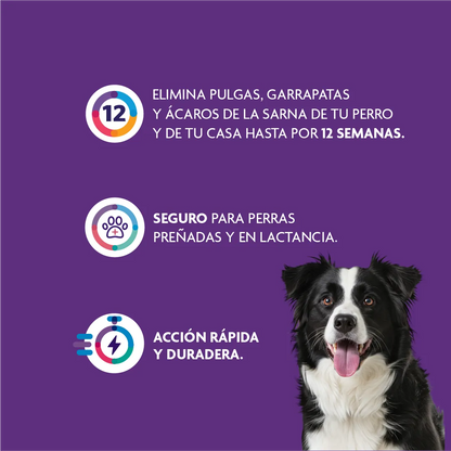 Bravecto Perro 10 - 20 kg (500 mg)
