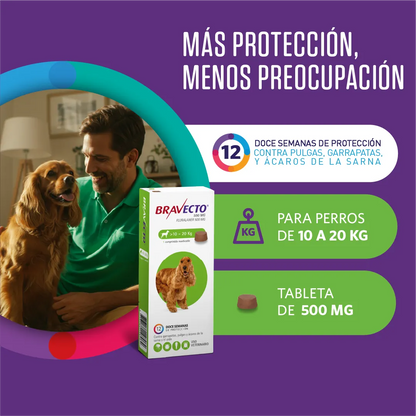 Bravecto Perro 10 - 20 kg (500 mg)