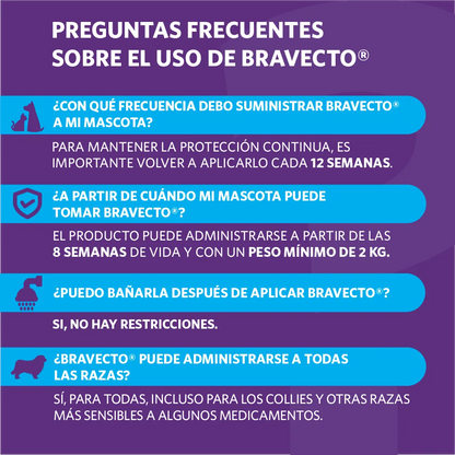 Bravecto Perro 10 - 20 kg (500 mg)