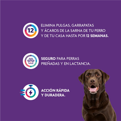 Bravecto Perro 20 - 40 kg (1000 mg)