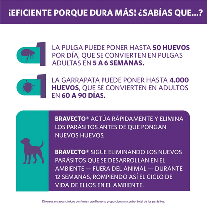 Bravecto Perro 20 - 40 kg (1000 mg)