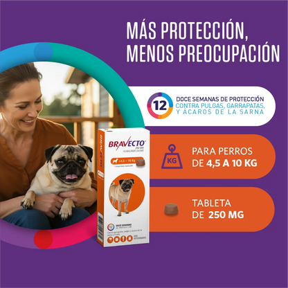 Bravecto Perro 4.5 - 10 kg (250 mg)