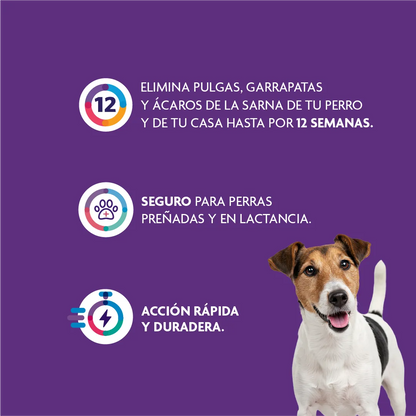 Bravecto Perro 4.5 - 10 kg (250 mg)
