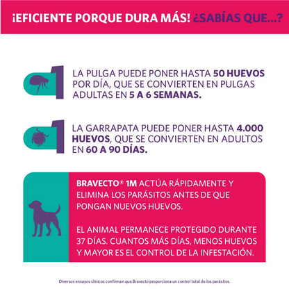 Bravecto Perro 1 Mes 10 - 20 kg (200 mg)