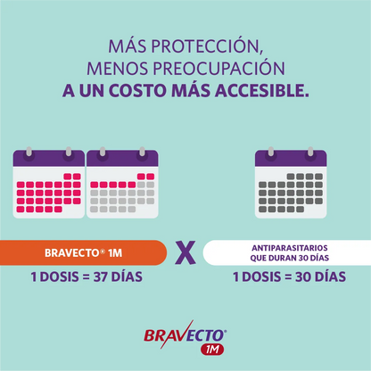 Bravecto Perro 1 Mes 4.5 - 10 kg (100 mg)