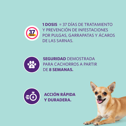 Bravecto Perro 1 Mes 2 - 4.5 kg (45 mg)