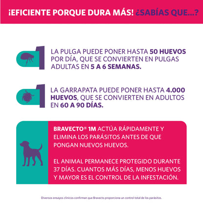 Bravecto Perro 1 Mes 2 - 4.5 kg (45 mg)