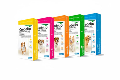 Credelio 1.3 - 2.5 kg en 1 Comprimido