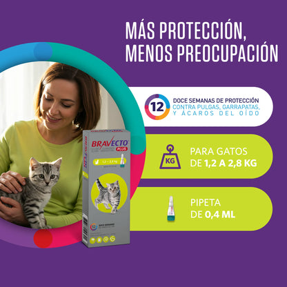 Bravecto Plus Gato 1.2 - 2.8 kg (112.5 mg)