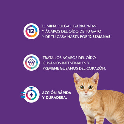 Bravecto Plus Gato 1.2 - 2.8 kg (112.5 mg)