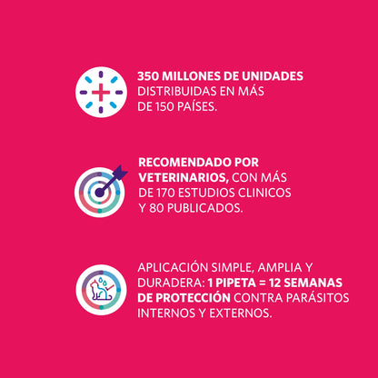 Bravecto Plus Gato 1.2 - 2.8 kg (112.5 mg)