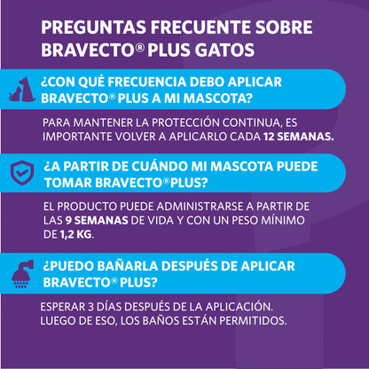 Bravecto Plus Gato 1.2 - 2.8 kg (112.5 mg)