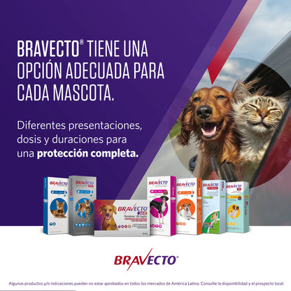 Bravecto Plus Gato 1.2 - 2.8 kg (112.5 mg)