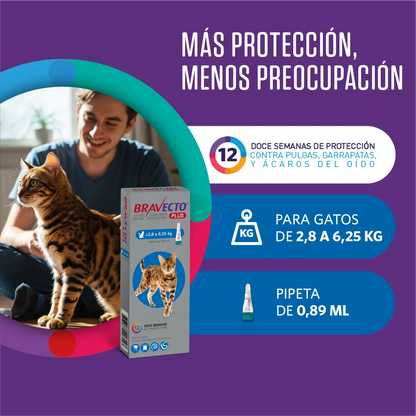 Bravecto Plus Gato 2.8 - 6.25 kg (250 mg)