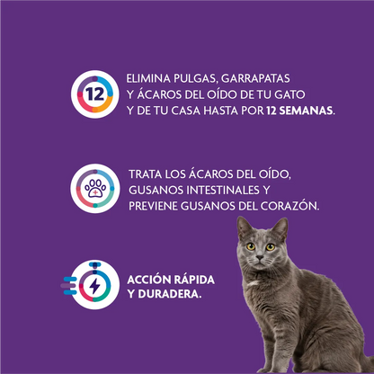 Bravecto Plus Gato 2.8 - 6.25 kg (250 mg)
