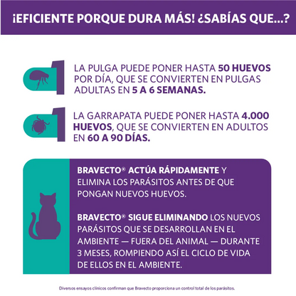 Bravecto Plus Gato 2.8 - 6.25 kg (250 mg)
