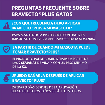 Bravecto Plus Gato 2.8 - 6.25 kg (250 mg)