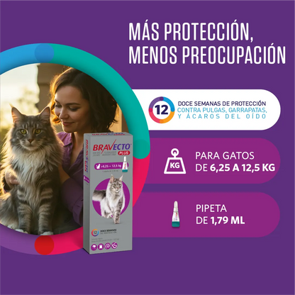 Bravecto Plus Gato 6.25 - 12.5 kg (500 mg)