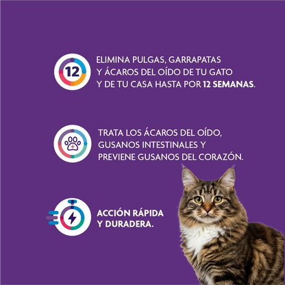 Bravecto Plus Gato 6.25 - 12.5 kg (500 mg)