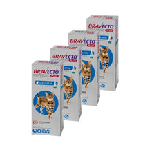 Pack 4x Bravecto Plus Gato 2.8 - 6.25 kg (250mg)