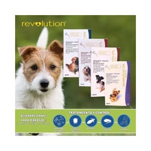 Revolution Perro 12% 5 - 10 kg (0.5ml)