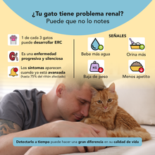 Semintra 4 mg/ml Solución Oral Gatos 30 ml