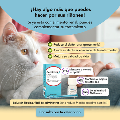 Semintra 4 mg/ml Solución Oral Gatos 30 ml