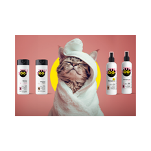 Myzoo Shampoo para Gato en Seco Espuma Vainilla