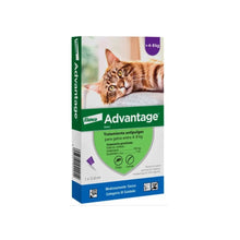 Advantage Gato 4 - 8 kg (0.8 ml)