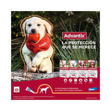 Advantix Perro 4 - 10 kg (1ml)