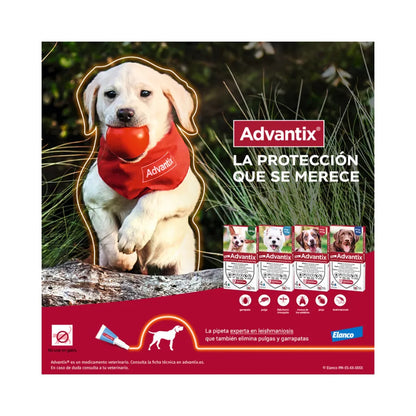 Advantix Perro 10 - 25 kg (2.5ml)