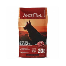 Ancestral Perro Adulto 20 kg