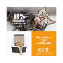 Arena Catit Go Natural Biodegradable Vainilla 5,6 kg