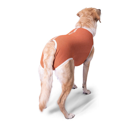 Body Cobre Castración Perros Machos