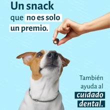 Bokato Snack Taste It! Dental Stick 150 g