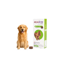 Bravecto Perro 10 - 20 kg (500 mg)