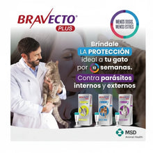 Bravecto Plus Gato 1.2 - 2.8 kg (112.5 mg)