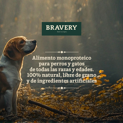 Bravery Kitten Salmon 2 Kg