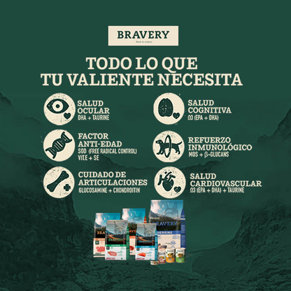 Bravery Kitten Salmon 2 Kg