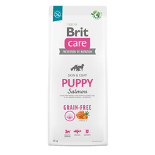 Brit Care Puppy Salmón
