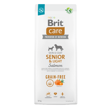Brit Care Senior & Light Salmón