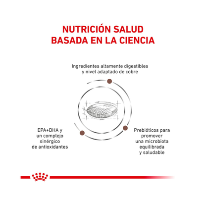 Royal Canin Perro Hepatic 1,5 kg