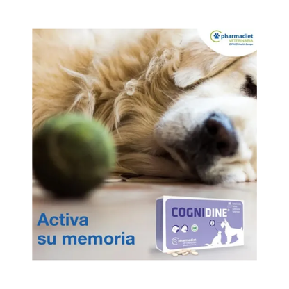 Cognidine Perro Gato 60 Comp