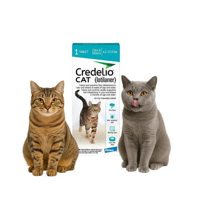Credelio Gato 48 mg 2–8 kg 1 Comprimido