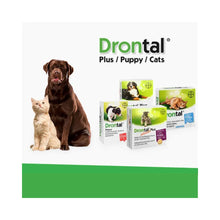 Pack Cachorro Drontal Puppy 20 ml + Shampoo Traper Puppy 260 ml