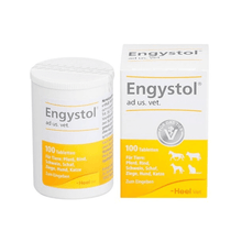 Engystol Veterinario 100 Comprimidos