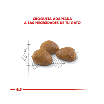 Royal Canin Active 7+ Feline 1.5 kg