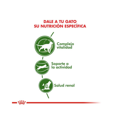Royal Canin Active 7+ Feline 1.5 kg